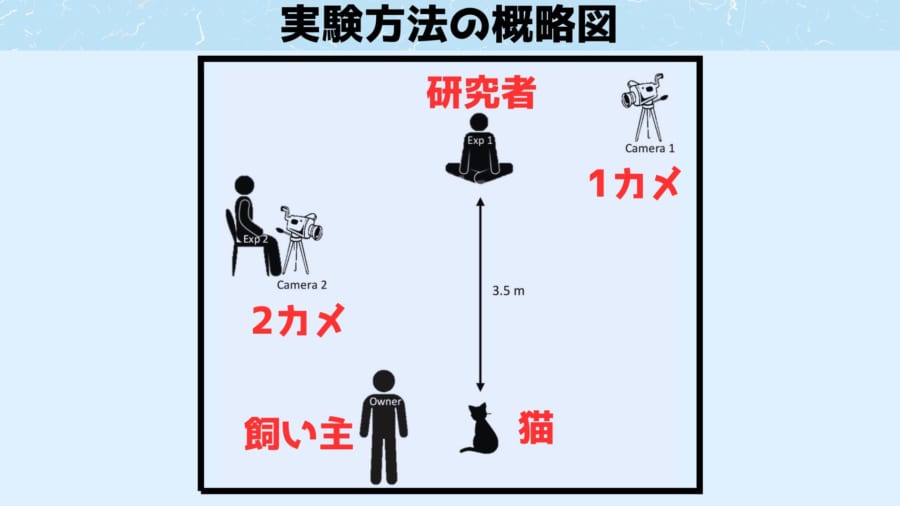 「ネコカフェの猫」を呼び寄せる最良の方法を発見！