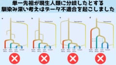 既存のツリー状の系譜は人類学のデータと不適合をおこしてしまいました