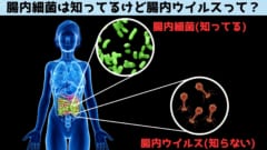 赤ちゃんのウンチには1万種の「未知のウイルス」が存在すると判明！