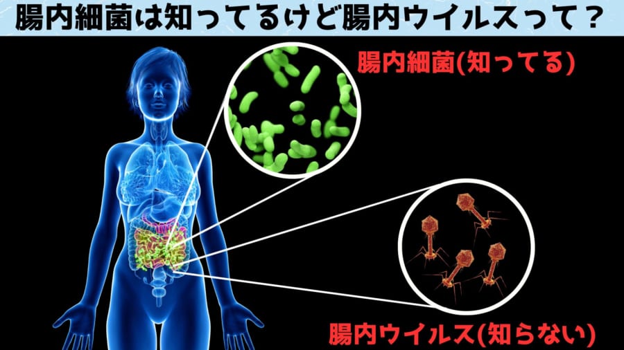 赤ちゃんのウンチには1万種の「未知のウイルス」が存在すると判明！