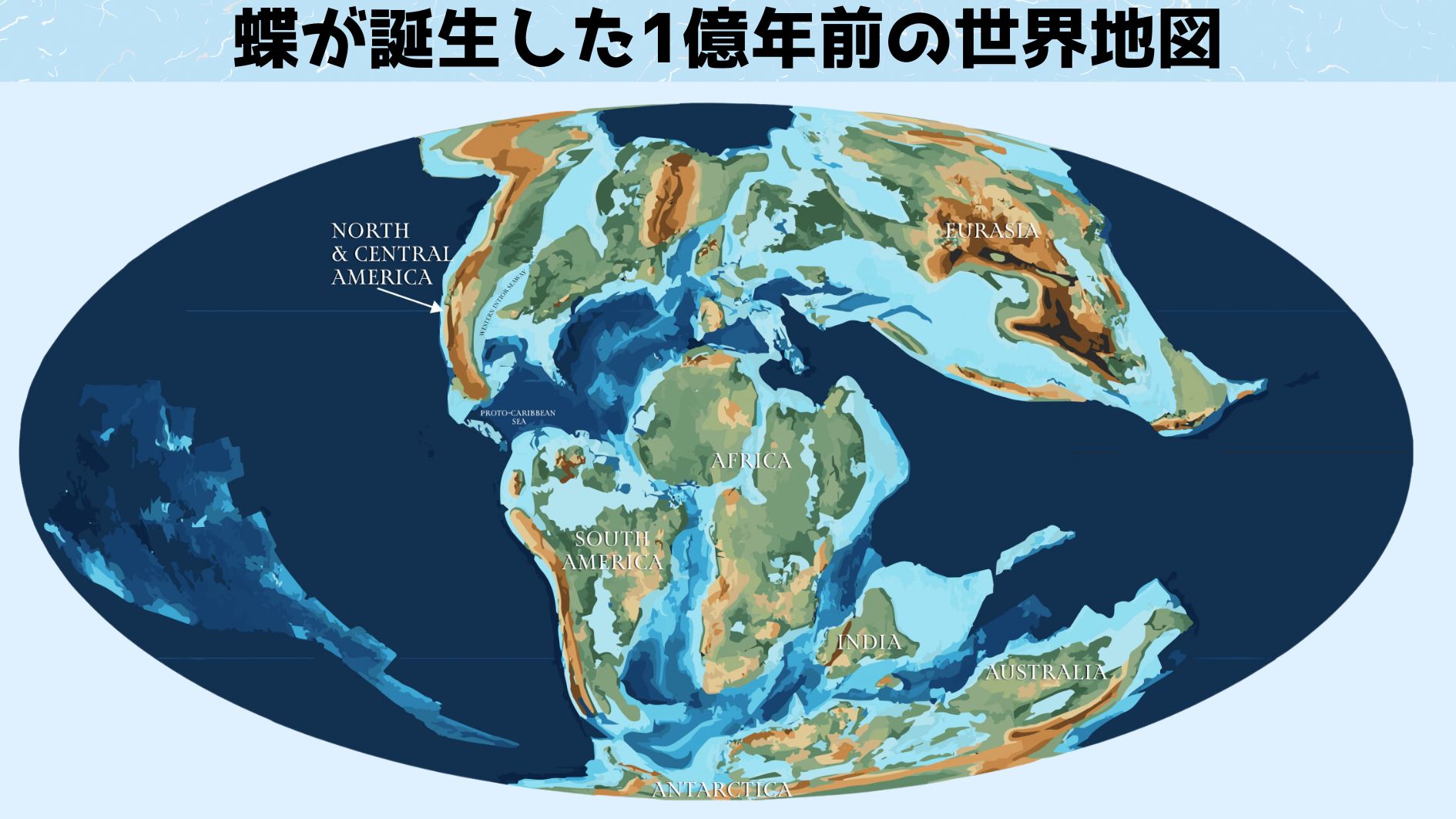 蝶は1億年前に北アメリカで誕生したと判明！