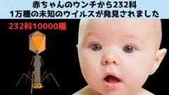 赤ちゃんのウンチには1万種の「未知のウイルス」が存在すると判明！