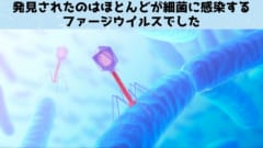 赤ちゃんのウンチには1万種の「未知のウイルス」が存在すると判明！