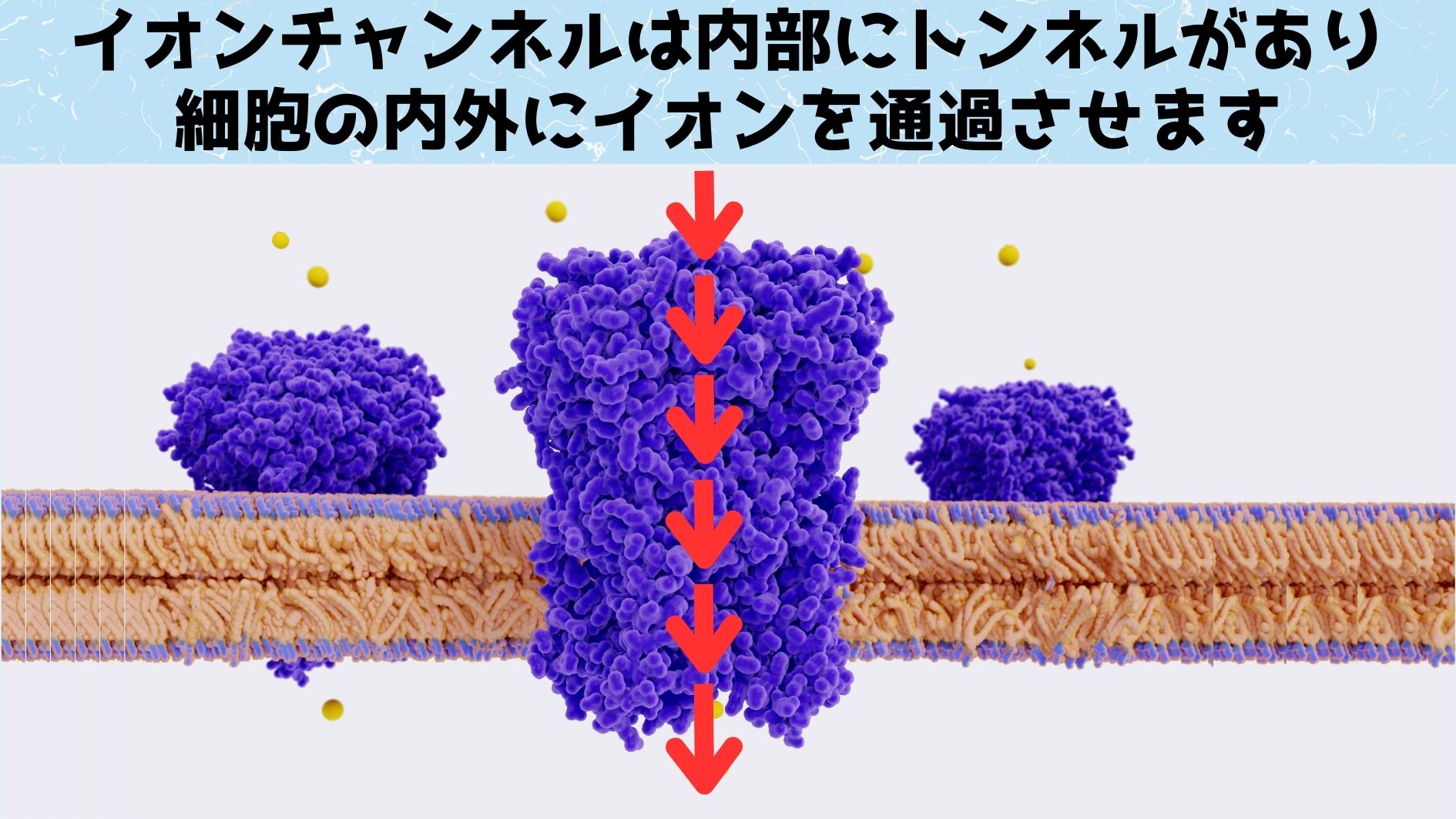 何万年も休眠中だったバクテリアが「復活」する仕組みがついに解明！