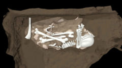 発見された楕円形の埋葬地のイメージ図