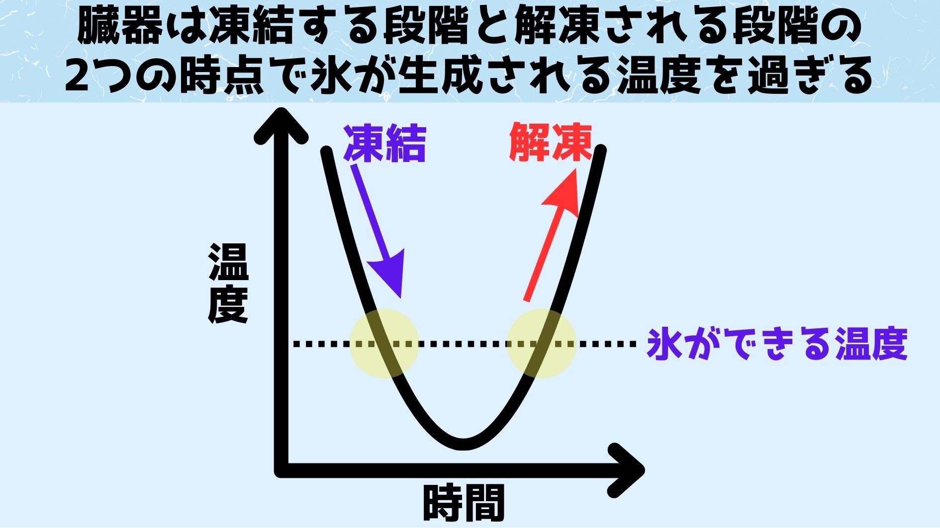 「冷やされる段階」と「解凍される段階」の2つで、水が結晶化して氷になる温度を通り過ぎる