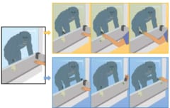 霊長類を対象とした実験のイメージ図