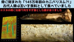 「145万年前のカニバリズム」古代人類はお互いを食べていた