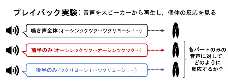 3種類の音声サンプルを作成