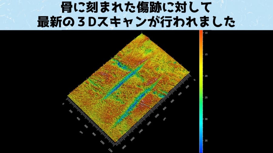 ３Dスキャンにより骨につけられた傷の多くが石器によるものだとわかりました