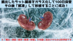 摘出した臓器をガラス化し100日後に解凍して移植することに成功！