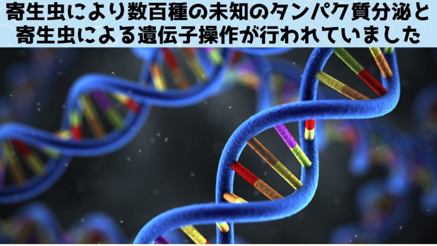 研究者たちは普通のアリと感染ニートアリの血液（体液）を採取し、内部に含まれるタンパク質を分析することにしました。