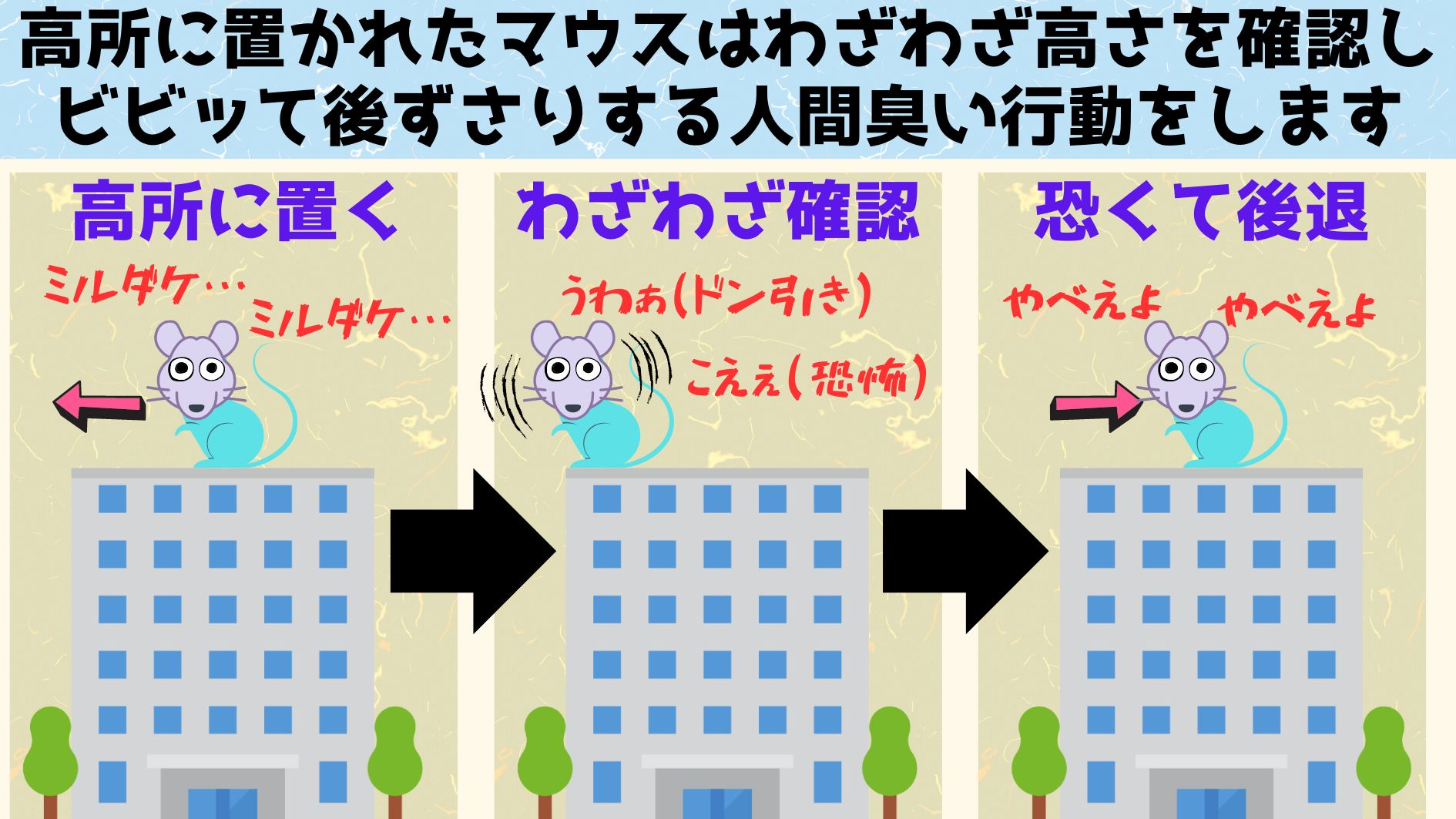 恐いのにわざわざ高さを確認しに行く謎の行動