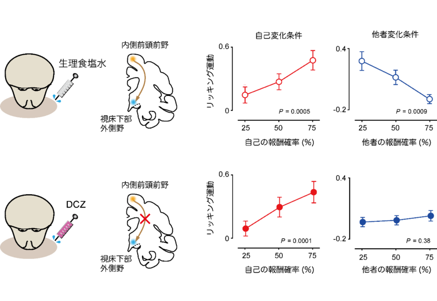 神経回路の遮断で「他者の報酬」が気にならなくなった！