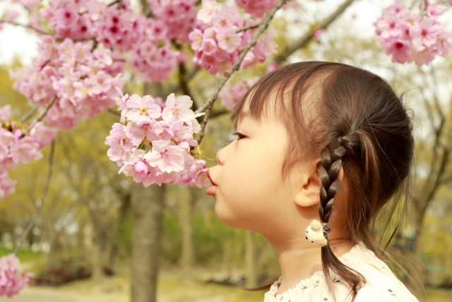 嗅覚インターフェイスがあればどこにいても花の香りを楽しめます