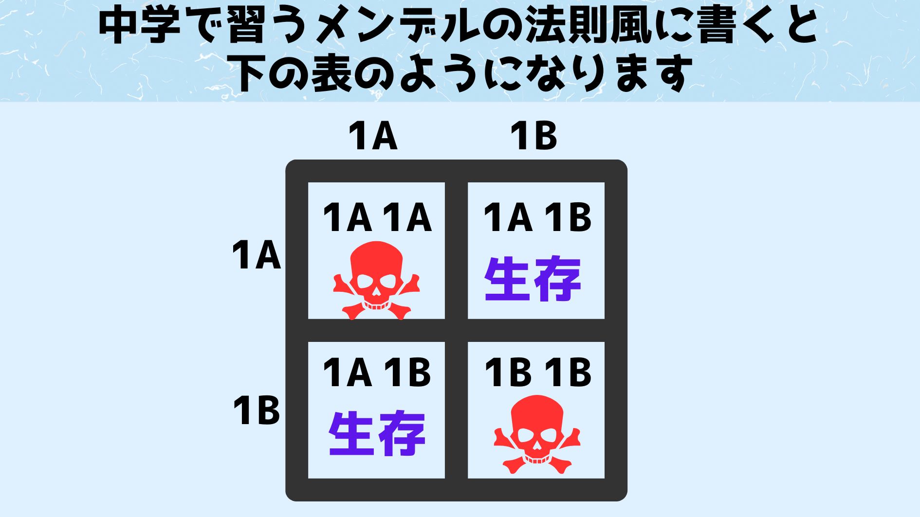 中学生の頃に習うメンデルの遺伝図