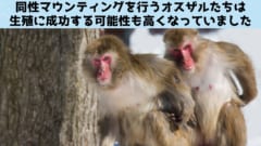 同性愛は競争に勝ち子孫を残すために進化的に獲得されたシステムの1つ