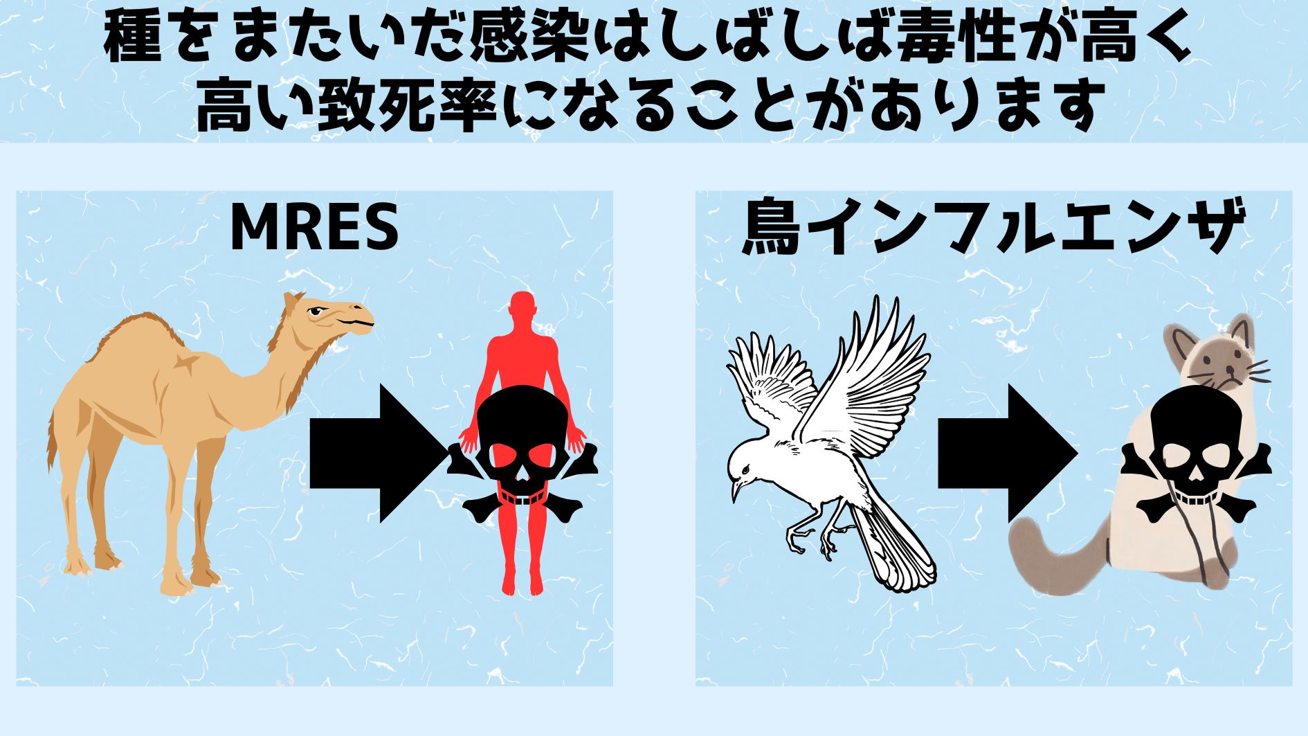 種をまたいだ感染はしばしば毒性が強化される