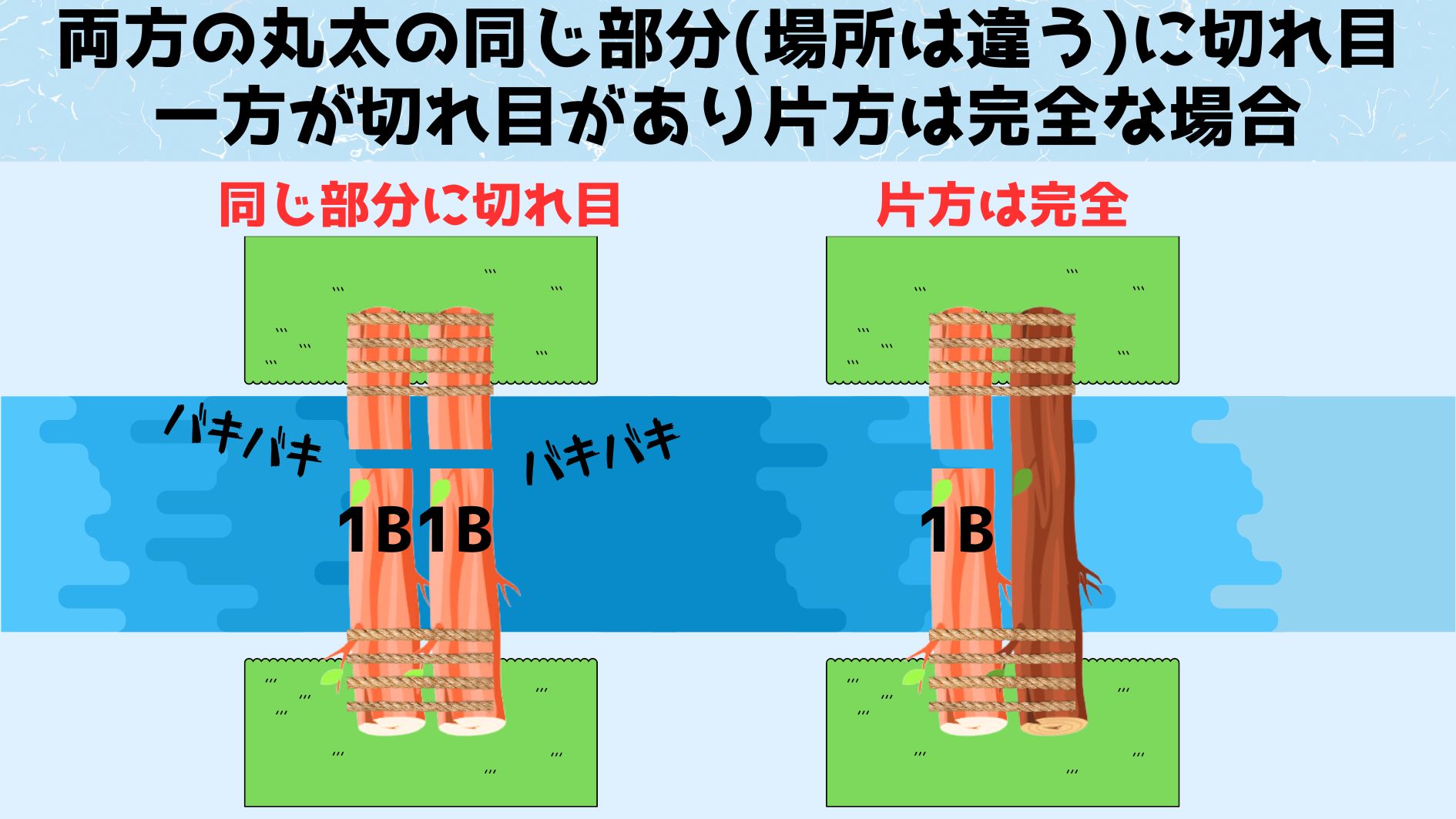 2本とも短い第1染色体「1B」であった場合にも、卵は生存できずに死んでしまいます