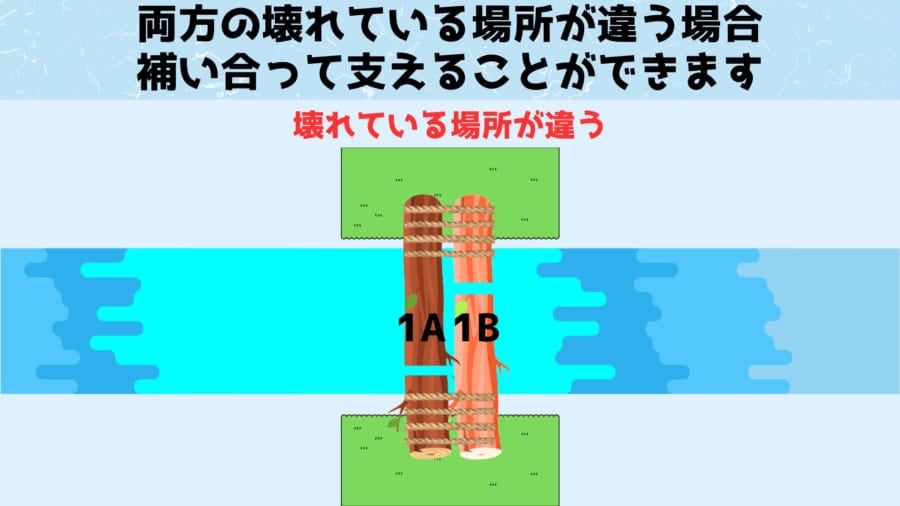 幸いなことに長い染色体と短い染色体の故障部位は異なっています。