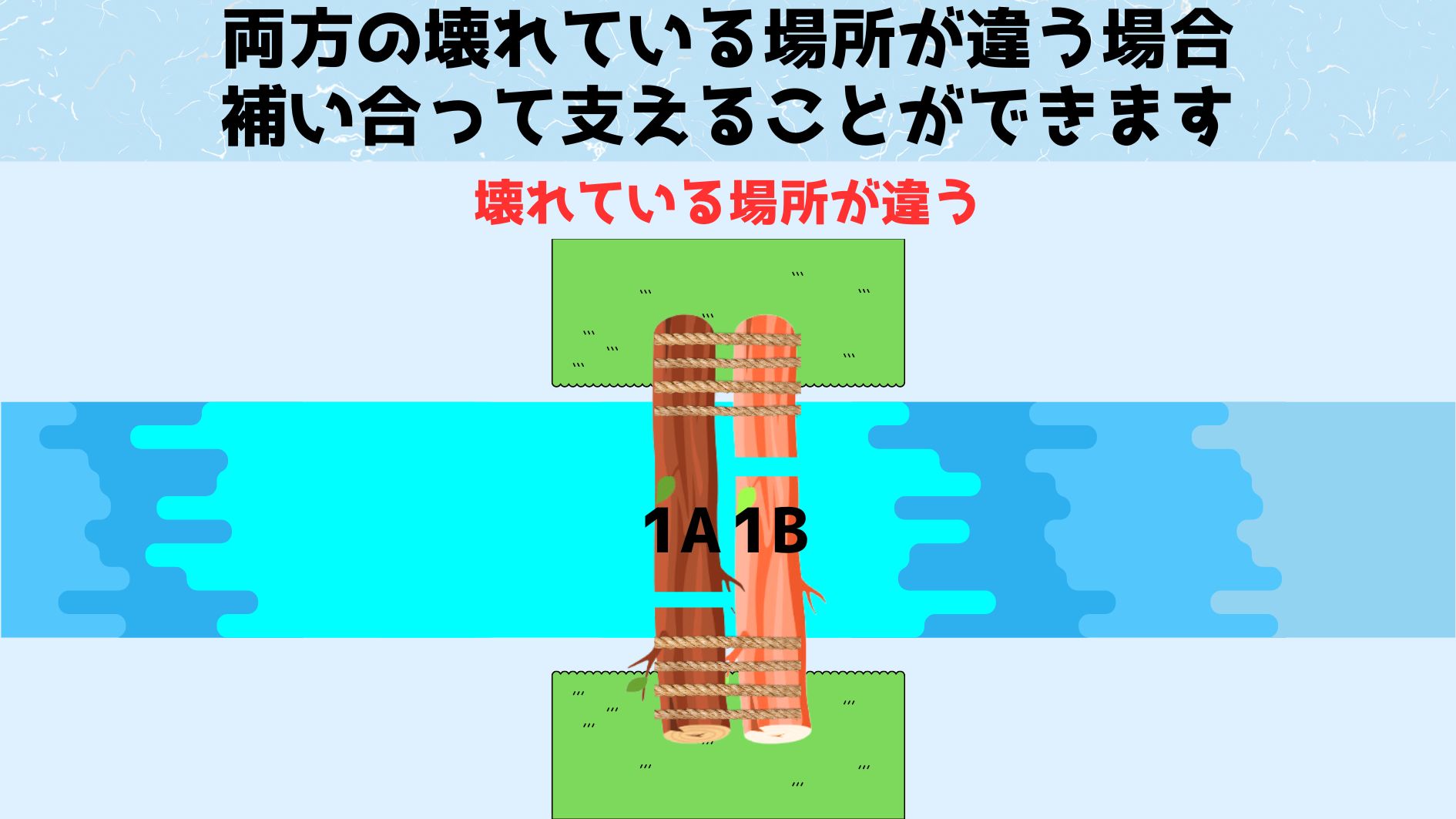 幸いなことに長い染色体と短い染色体の故障部位は異なっています。