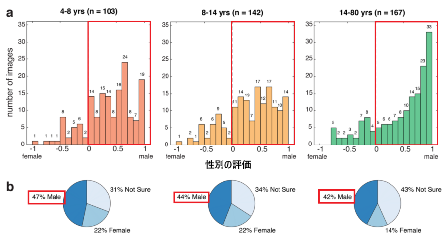 顔のパレイドリア現象で女性と男性の顔に見える割合。図の横軸の数値が「-1」だと女性の顔に，「1」だと男性の顔に見えたことを表しています。