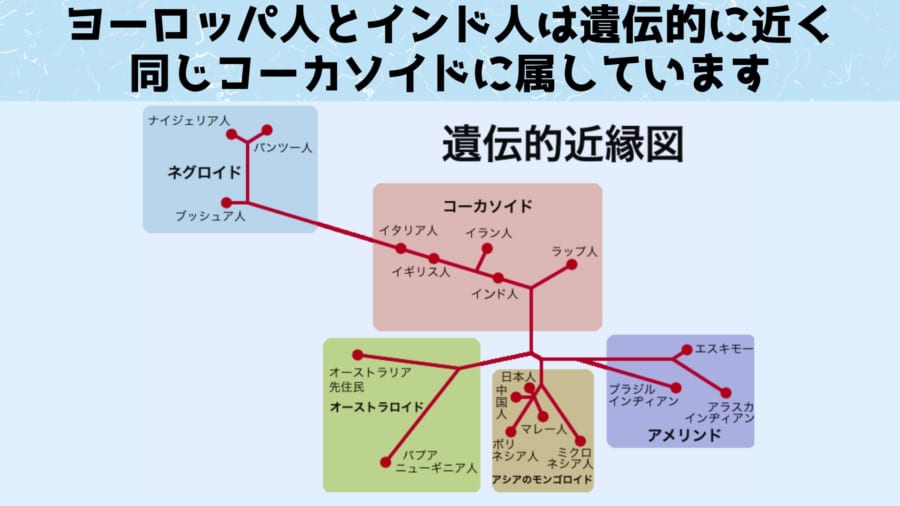 ヨーロッパ人とインド人は遺伝的に近く同じコーカソイドに属します