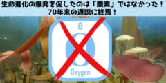 生命進化の爆発を促したのは「酸素」ではなかった、70年来の説に反証