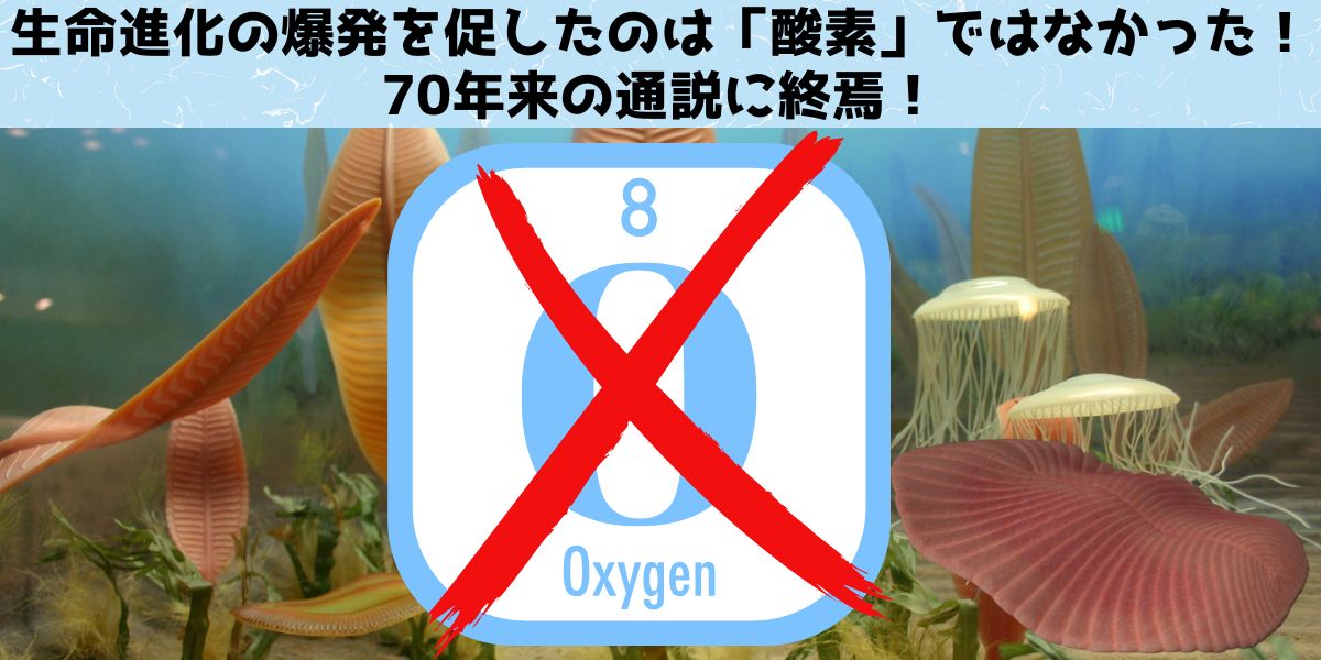 生命進化の爆発を促したのは「酸素」ではなかった、70年来の説に反証