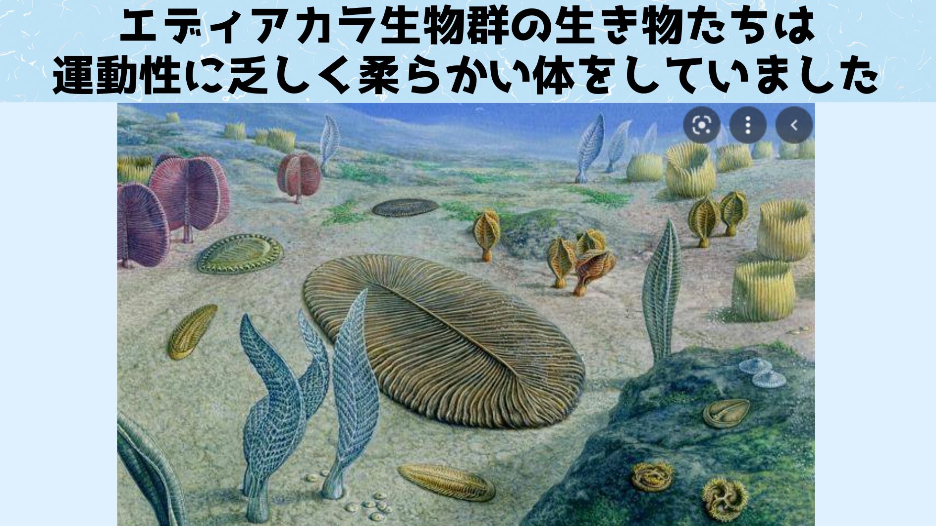 エディアカラ生物群は柔らかく、遅く、弱かった