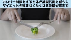 食欲抑制した上でさらに基礎代謝を増やす「停滞期のない」やせ薬候補を発見！