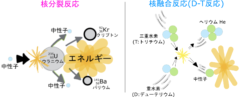 核分裂反応と核融合反応の燃料と生成物（例）