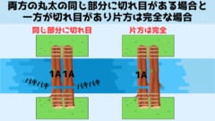 運悪く2本とも欠陥を抱えた長い第1染色体「1A」だった場合橋は落ちます。つまり卵は死にます