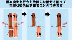 組み換えにより故障した部分を修正できます