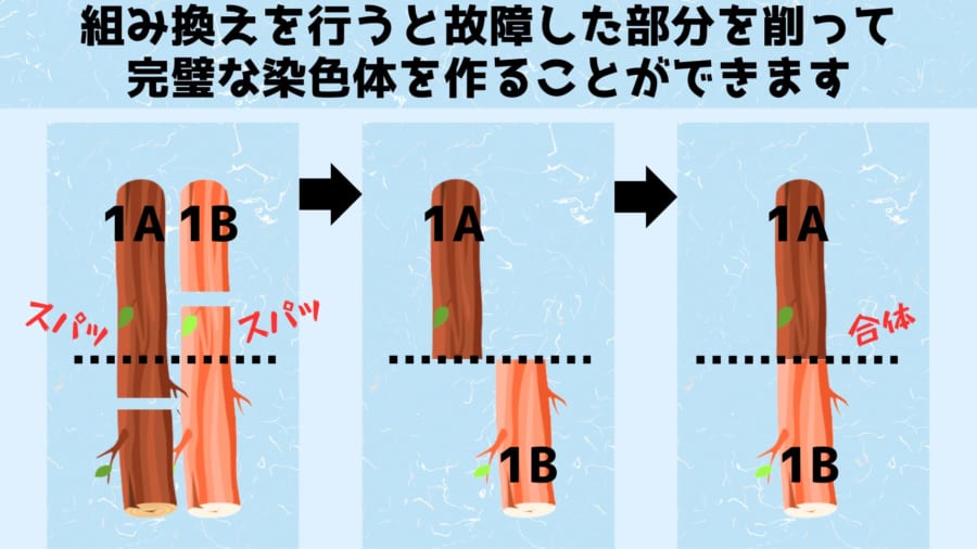 組み換えにより故障した部分を修正できます