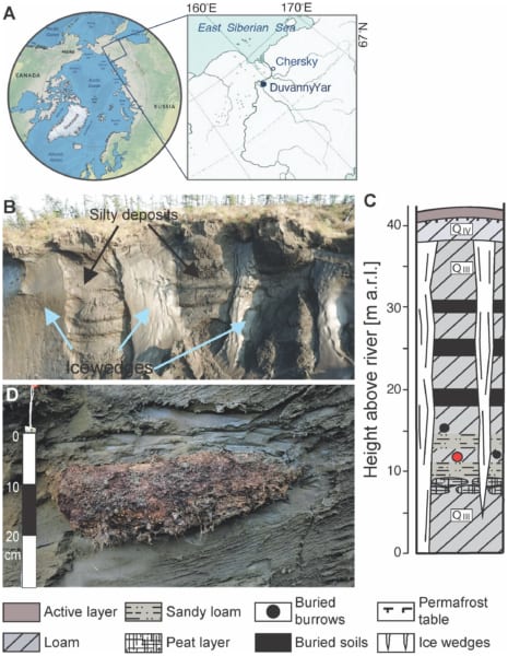 線虫の発見された場所