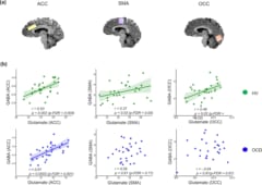 (a)黄色は前帯状皮質、紫色は補足運動野、オレンジは後頭皮質、(b)緑色は健常者、青色は強迫性障害の参加者のグルタミン酸とGABAのレベル(ppm)
