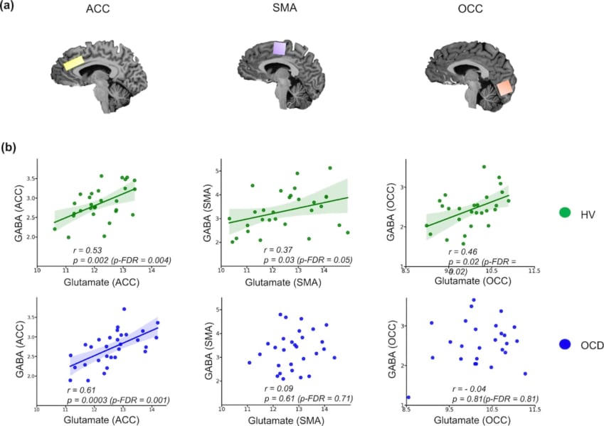 (a)黄色は前帯状皮質、紫色は補足運動野、オレンジは後頭皮質、(b)緑色は健常者、青色は強迫性障害の参加者のグルタミン酸とGABAのレベル(ppm)
