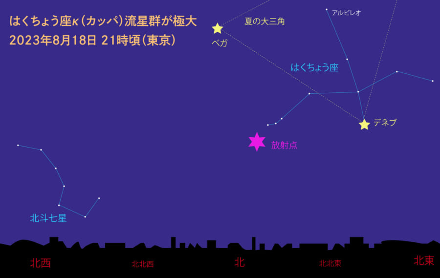 2023年はくちょう座流星群の極大日時と放射点