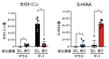 ハダカデバネズミはほかのマウスよりもセロトニンと5-ヒドロキシインドール 酢酸 (5-HIAA)が多い