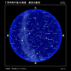 正座早見 7月21時頃