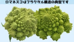 「数学」が進化の法則を制御していたと判明！の画像 5/5