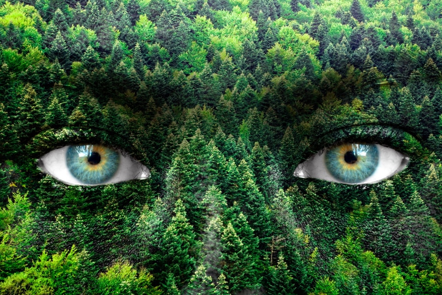 人間が自然に手を出して「しっぺ返し」をくらった歴史的事件5選