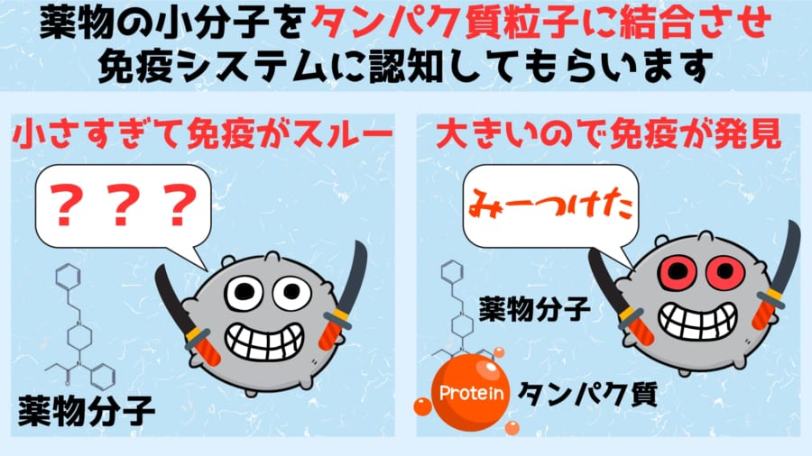 薬物の小分子をタンパク質粒子に結合させることで免疫システムがみつけられるようにします