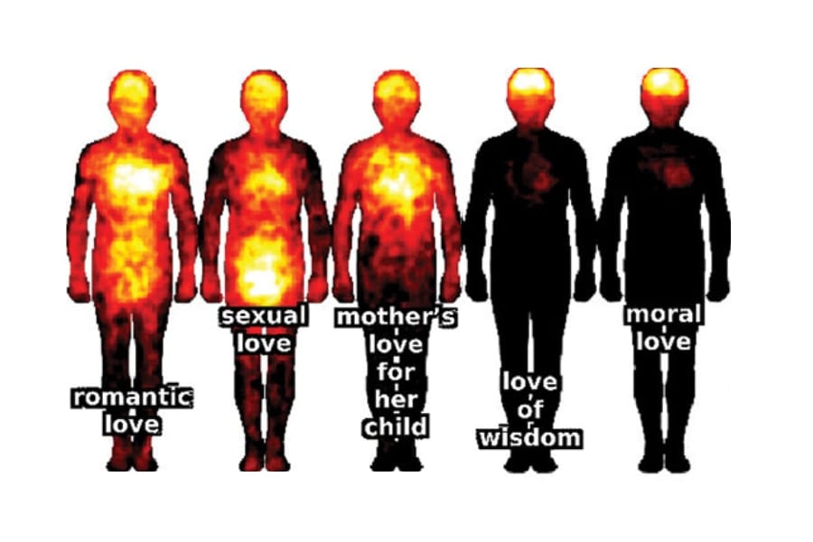 あなたは「愛」を体のどこで感じている？珍しい調査研究