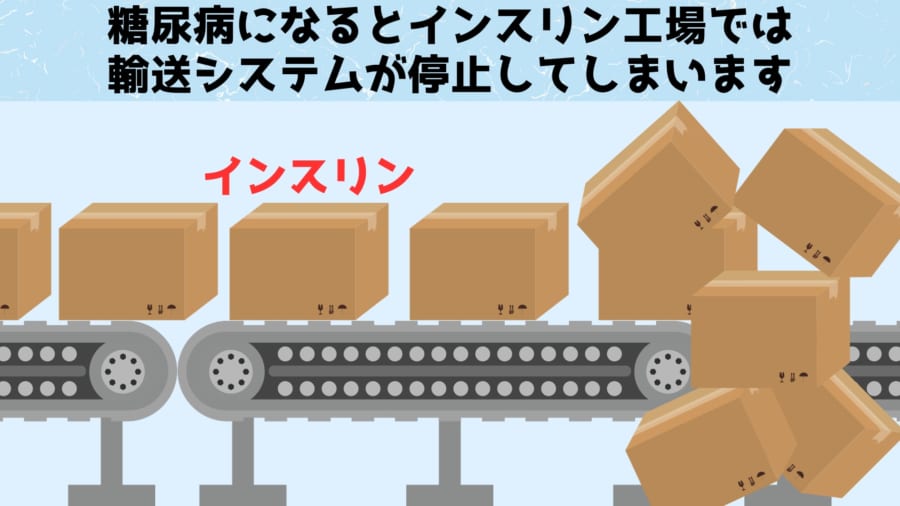 糖尿病になるとインスリン生産工場の輸送システムが大渋滞を起こしてい増します