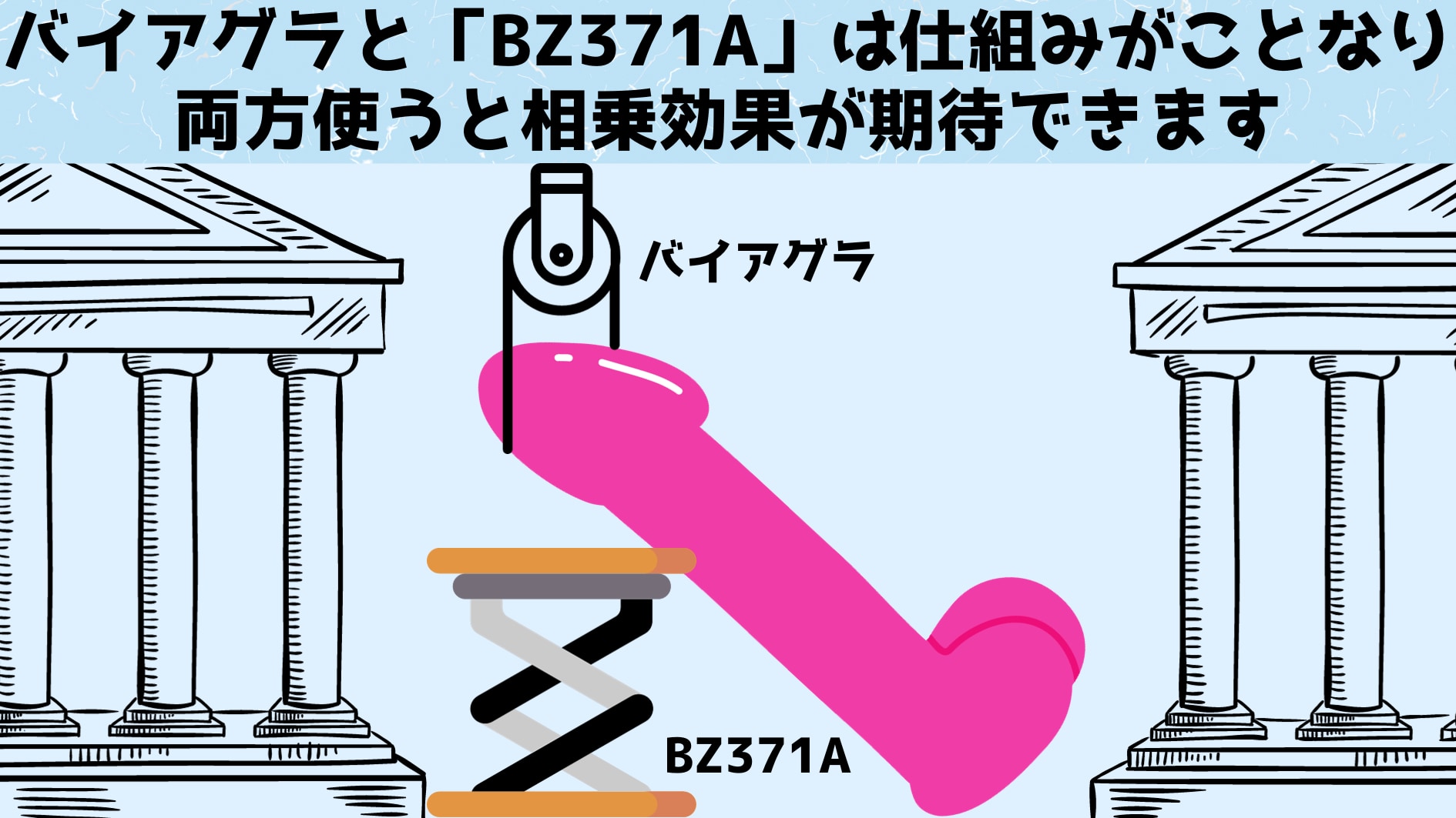 「BZ371A」はバイアグラとの併用で相乗効果があることが示されました。