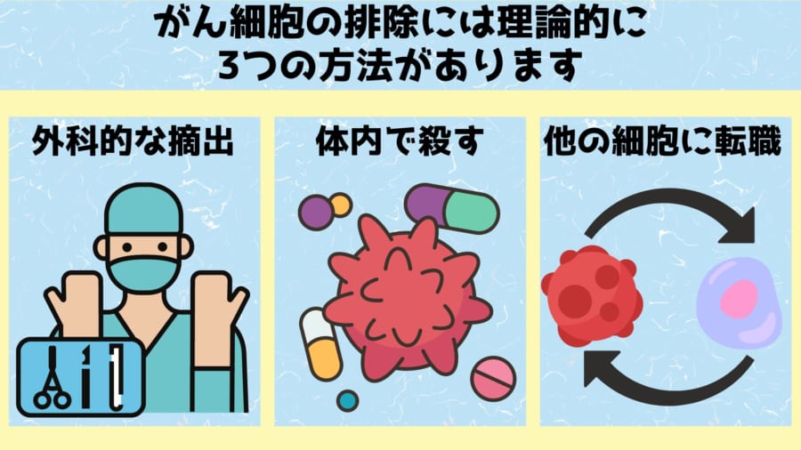 体のがん細胞と社会のマフィアを排除するには同じような手法が使えます。