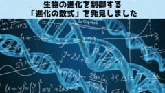 「数学」が進化の法則を制御していたと判明！の画像 2/5