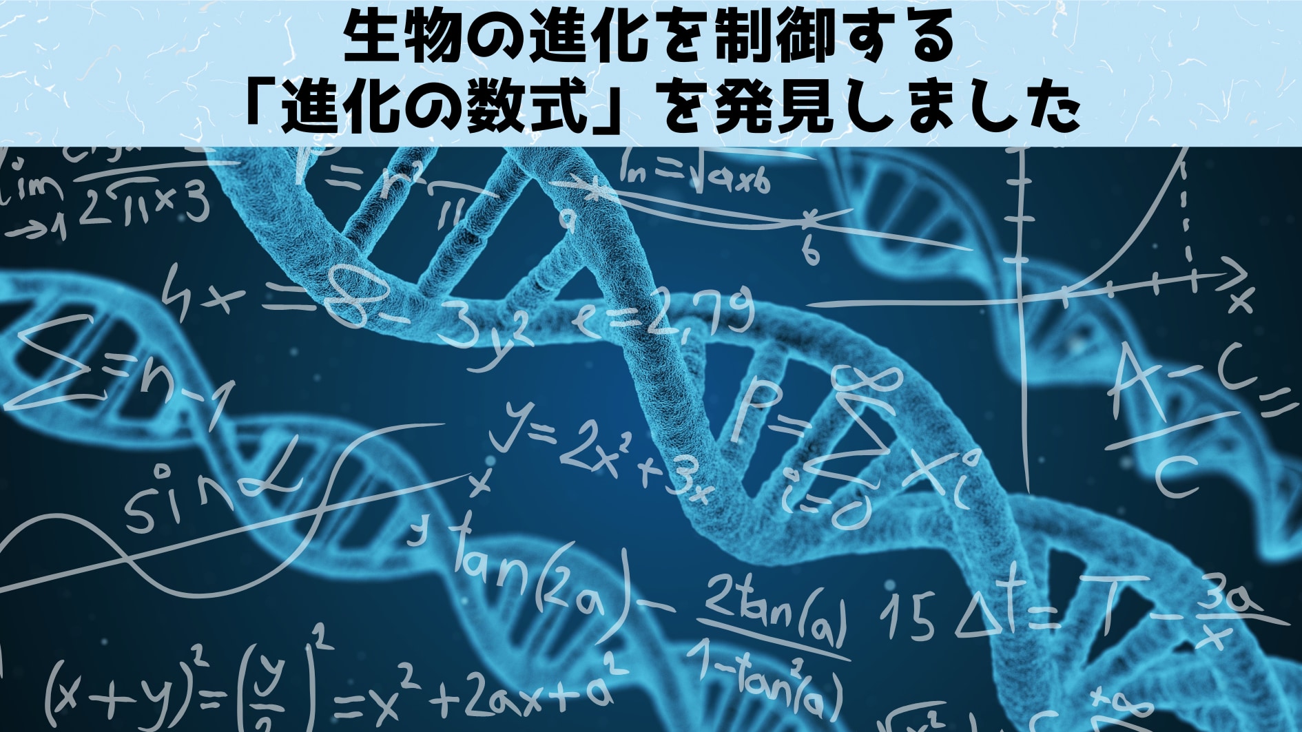 「数学」が進化の法則を制御していたと判明！の画像 2/5